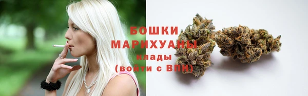 гидропоника Вяземский