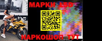 стафф Гусев