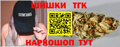 прущие грибы Будённовск