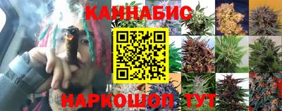 прущие грибы Будённовск