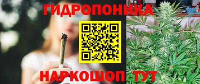 стафф Гусев
