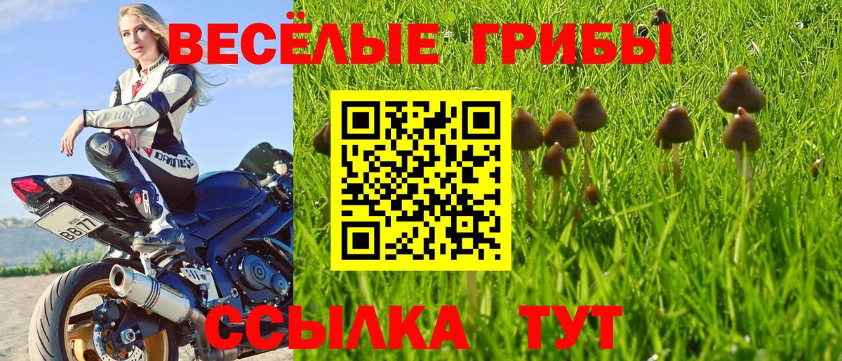 наркотики  Губаха  Галлюциногенные грибы Magic Shrooms 