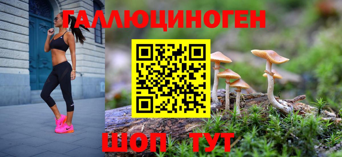 Губаха  Псилоцибиновые грибы Magic Shrooms  хочу наркоту  Вход с VPN 