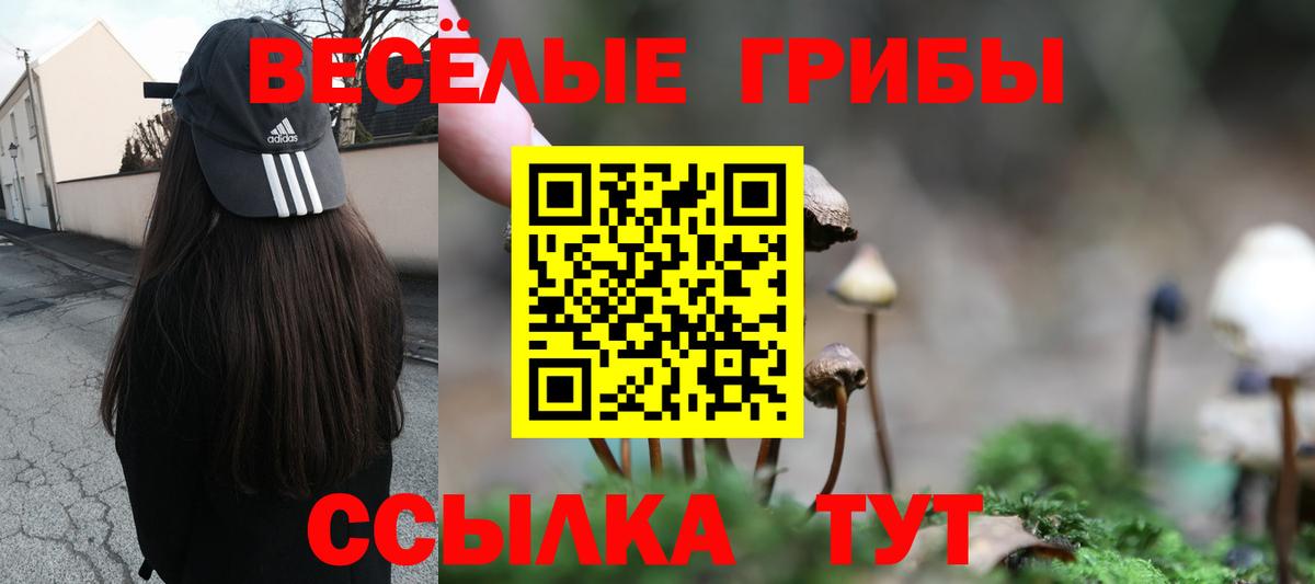 Галлюциногенные грибы GOLDEN TEACHER Губаха